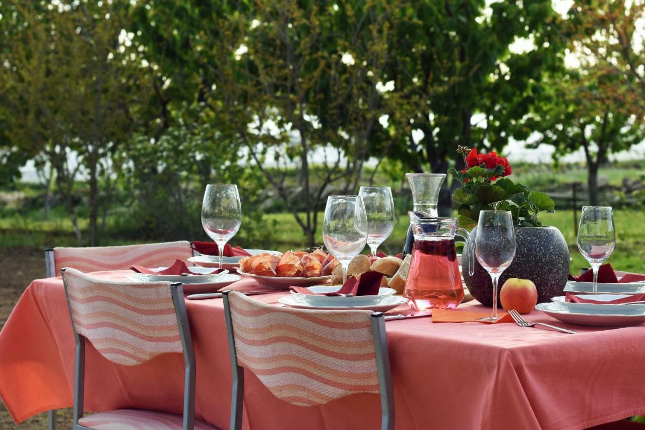 Easyliving House Near Zadar Villa Posedarje Eksteriør billede